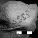 The ‘S’ motif found on Gebelein Woman.